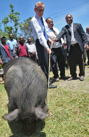 Senator Carr and others holding a rope attached to a live black pig