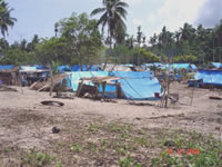 Potzdam camp , mainland PNG