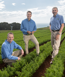 Three men standing in a green paddock