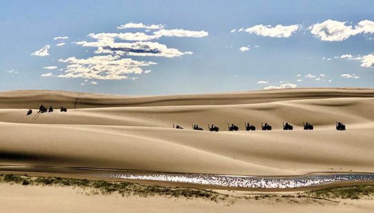 A line of nine quad bikes travelling through sand dunes.
