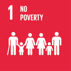 No poverty