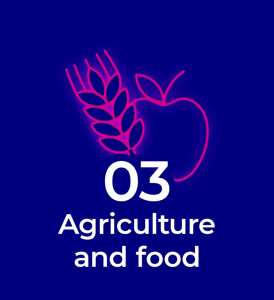 Chapter 3 Agriculture and food