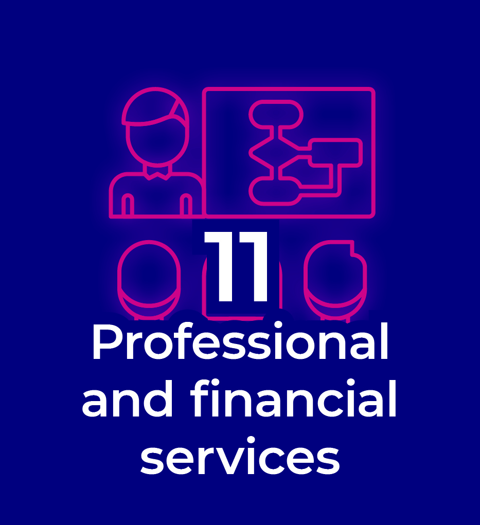 Chapter 11 Professional and financial services