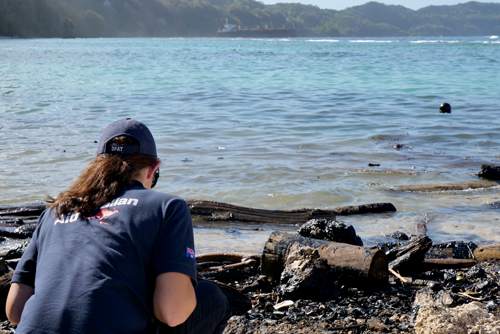 Official next to a coast line contaminated with black oil
