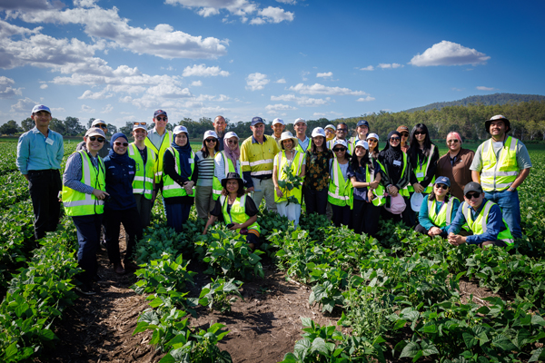 Group of visitors wearing high-visibility vests stand in an agricultural field during a site visit.