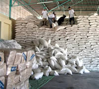 Photo of food supplies awaiting distribution