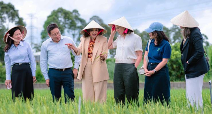 Minister for International Development The Hon Dr Anne Aly MP and people wearing traditional conical hats stand in a rice field, discussing and examining crops with local representatives.