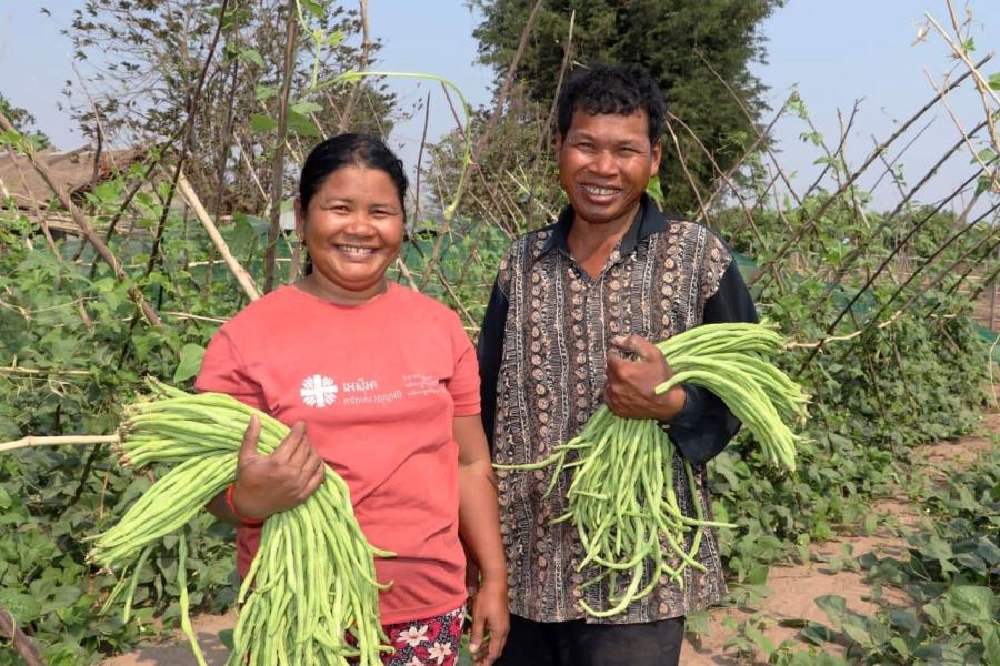 Two people holding bunches of string beans on a farm