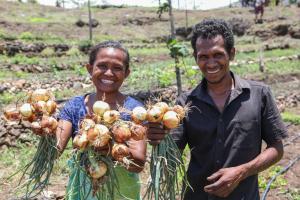 A young Timorese farming couple stand in a field smiling. They are holding bunches of large onions that they have just harvested. 