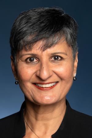 Portrait of Harinder Sidhu.