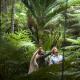The Royal Botanic Gardens Sydney