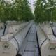Photo of the irrigation and plants in the Green Camel Glasshouse facility.