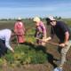 The food security journalist visit to ICARDA in Morocco thumbnail