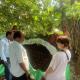 Group of people standing around two rectangular soil plots bordered by green and white plastic sheets, in an outdoor setting shaded by trees.