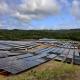Solar panels on a hillside in Palau.