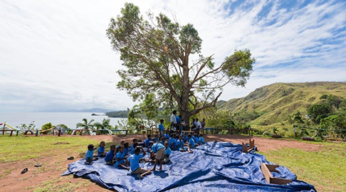 A group of people sitting outside under a tree, overlooking the ocean