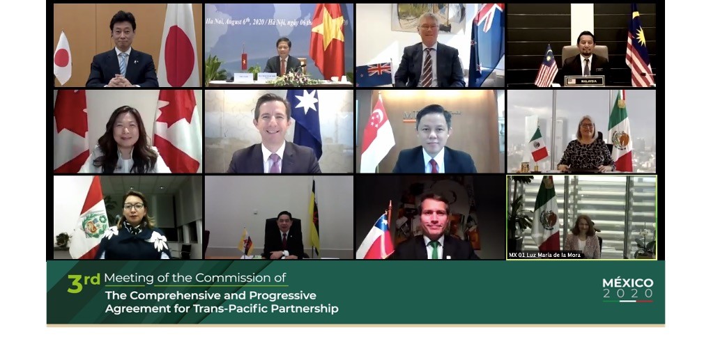 Screengrab of video conference call of 12 officials.