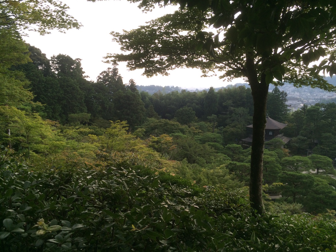temple among lots of green foliage