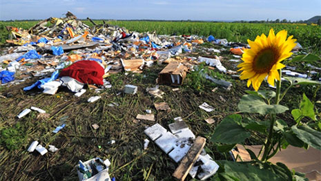 A sunflower next to wreakage in a field