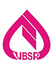VBSP logo