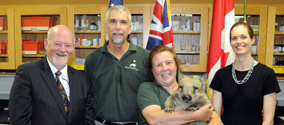 Mr Roger Price, Australian Consul-General handed Millie the wombat to the  Canadian Consul-General, Gitane De Silva, with the help of staff from Chicago's Brookfield Zoo